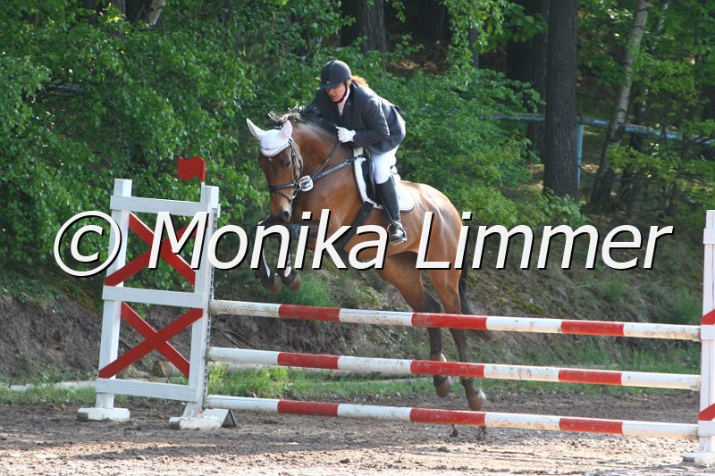 104M7641_Spring A.JPG